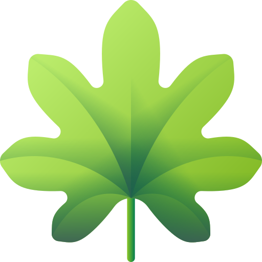 tropical leaf represent schole learning